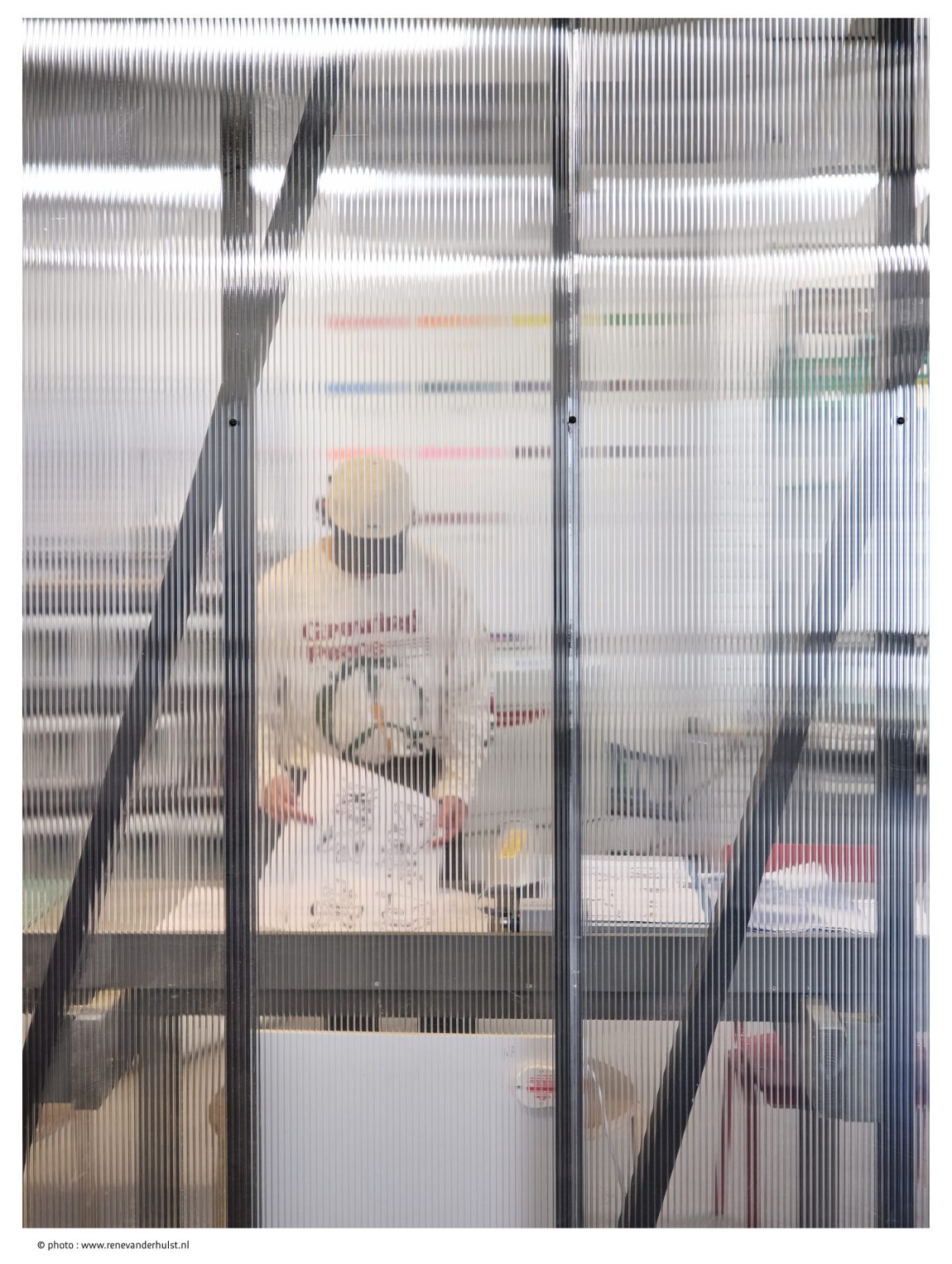 RISO Workshops