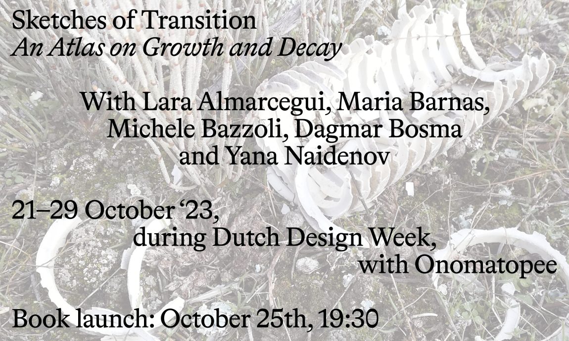 Book launch Sketches of Transition